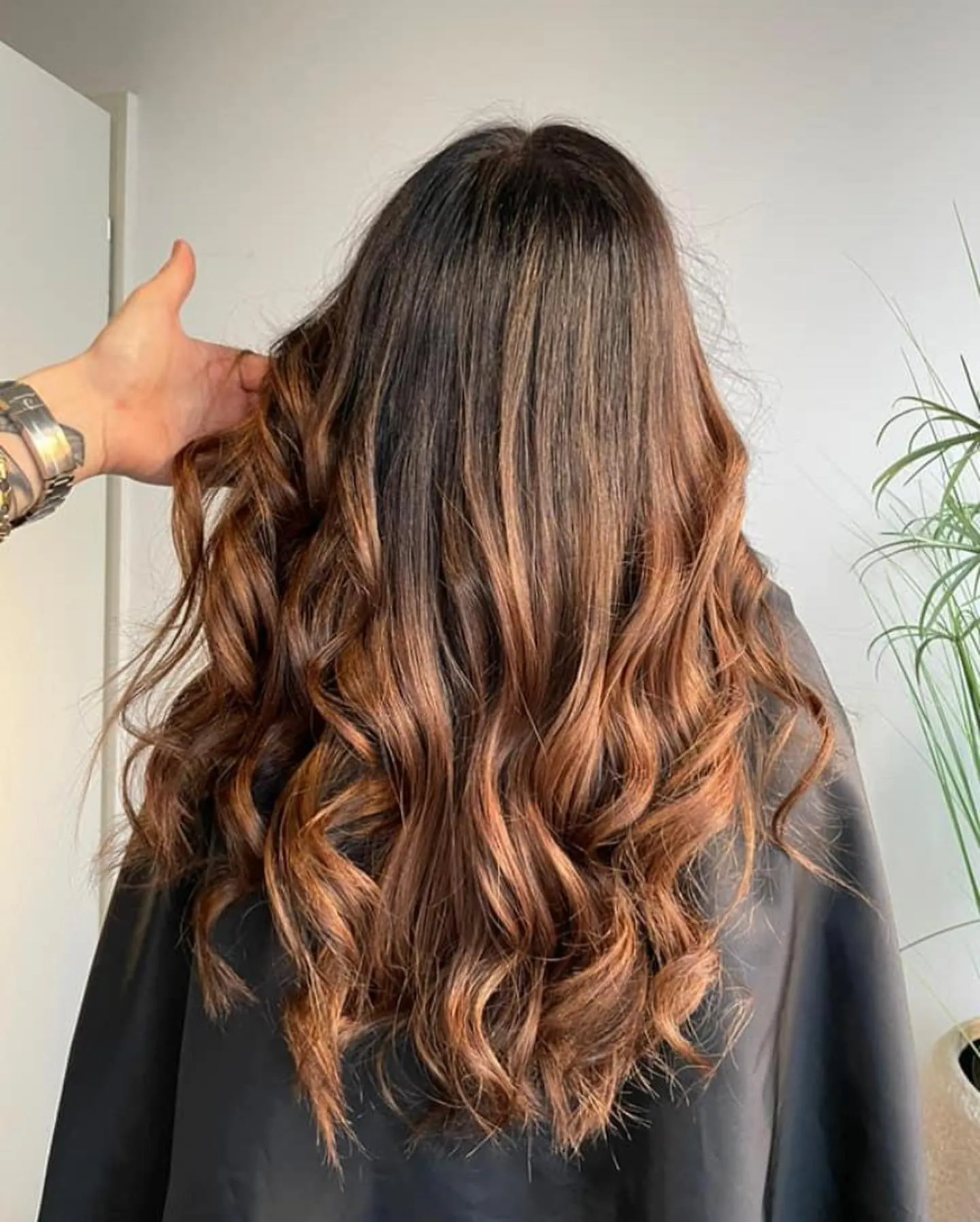 474474617_3874681876080900_6373854412307527875_n